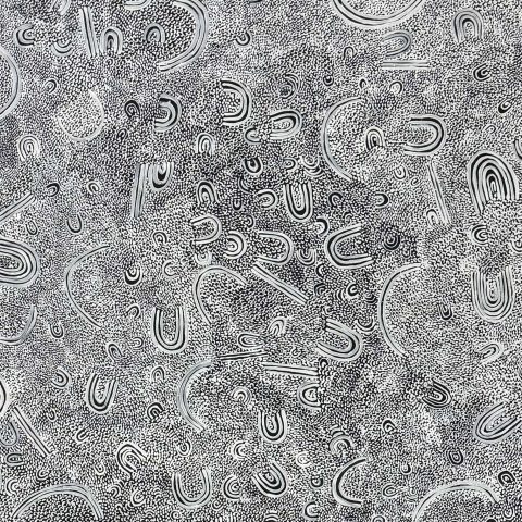 Minyima Tjutangku / All the Women