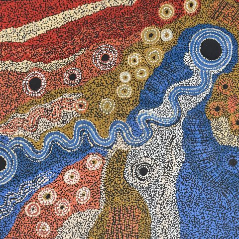 Piltati Story | Watersnake Dreaming