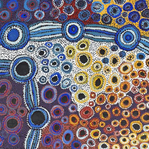 Piltati Story | Watersnake Dreaming