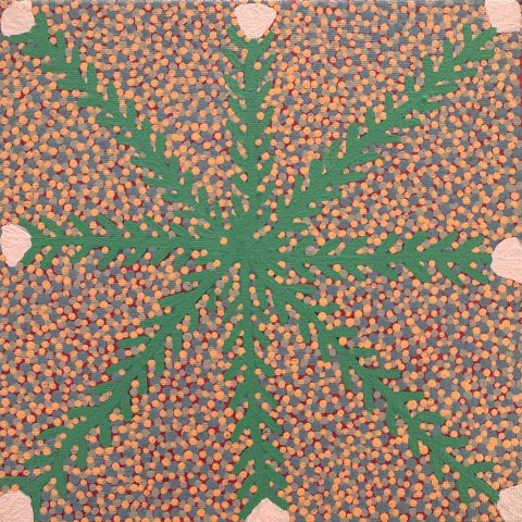 Desert Flower