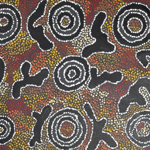 Piltati Tjukurpa | Watersnake Story