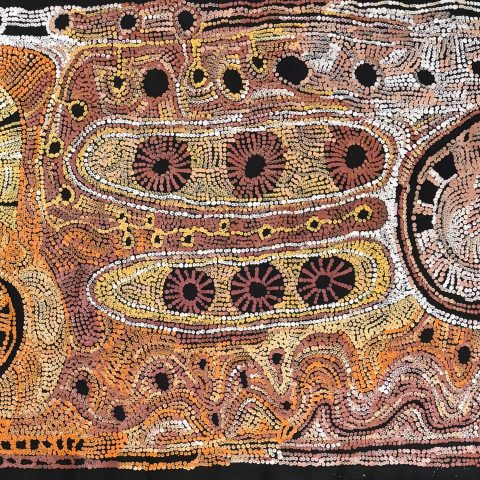 Kapi Tjukula | Waterholes