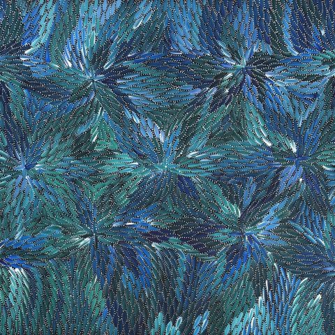 Bush Medicine Leaves and Seeds