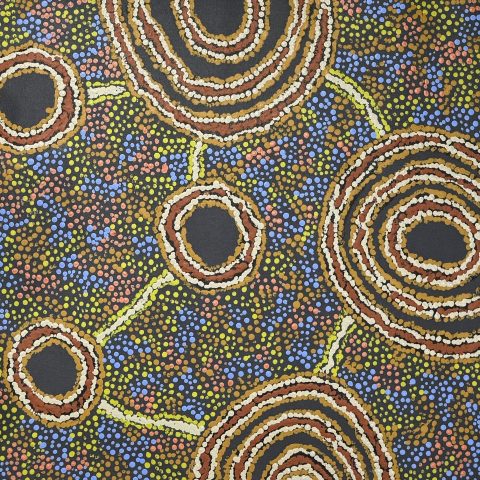 Piltati Tjukurpa | Watersnake Story