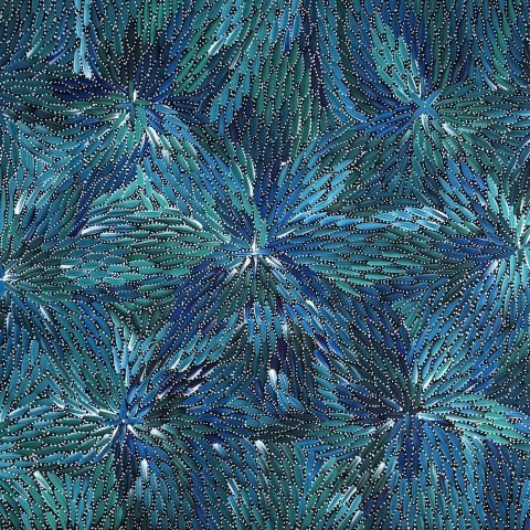 Bush Medicine Leaves and Seeds