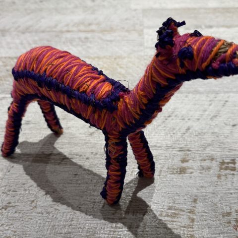 Kamula - Camel