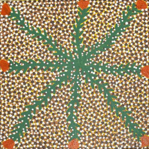 Desert Flower