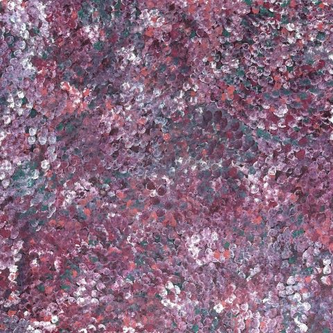 Alparra Seed