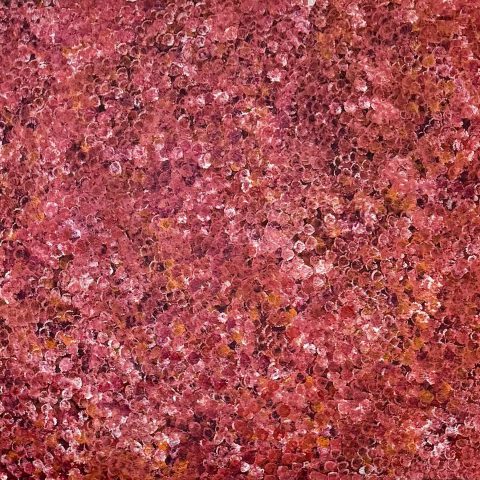 Alparra Seed