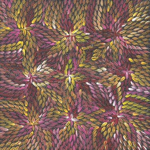 Bush Medicine Leaves and Seeds